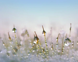 В Україні потепліє до +14°С, але є неприємний нюанс