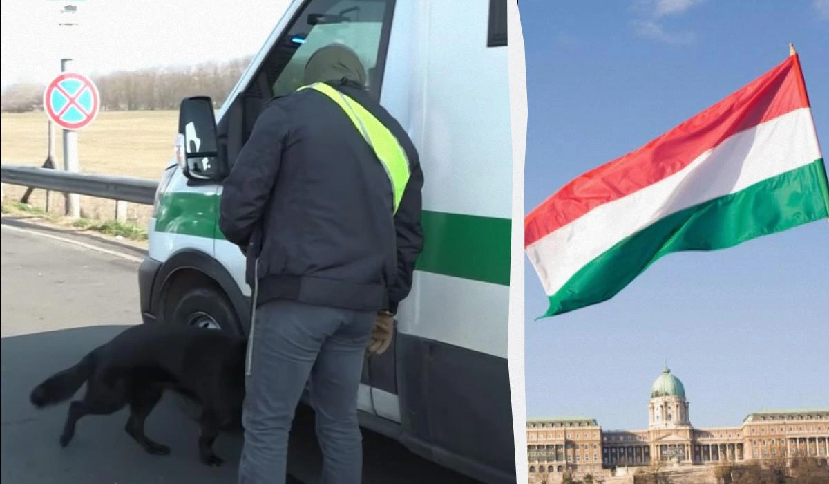 28 годин у кайданках: МЗС розкрило, як угорці поводилися з українськими інкасаторами