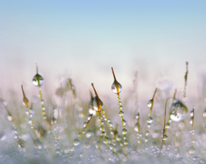 Закінчується епоха сильних морозів – прогноз на вівторок